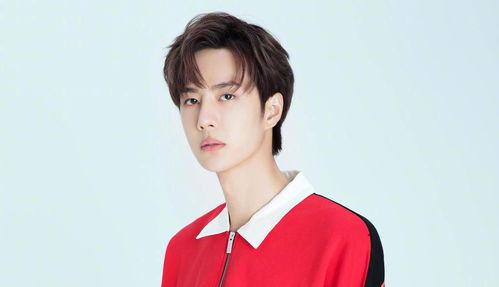 爱豆吃瓜娱乐酱陈晓,爱豆吃瓜娱乐酱,揭秘娱乐圈幕后故事 第3张 爱豆吃瓜娱乐酱陈晓,爱豆吃瓜娱乐酱,揭秘娱乐圈幕后故事 第3张